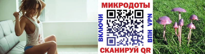 купить   Мантурово  блэк спрут онион  сайты даркнета какой сайт  Галлюциногенные грибы Psilocybine cubensis 